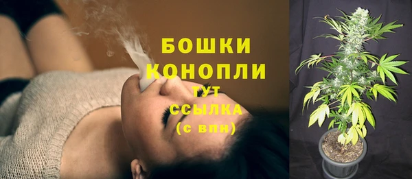 шишки Медвежьегорск