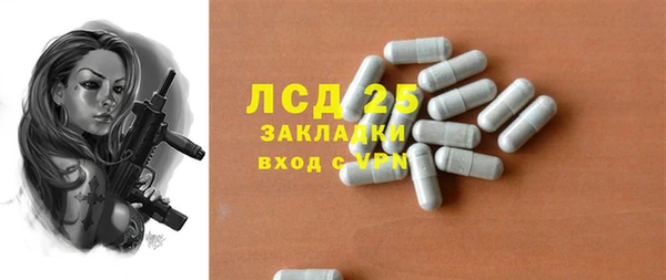 шишки Медвежьегорск