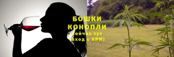 шишки Медвежьегорск