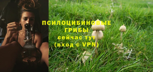 шишки Медвежьегорск