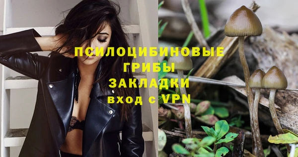 герыч Мегион