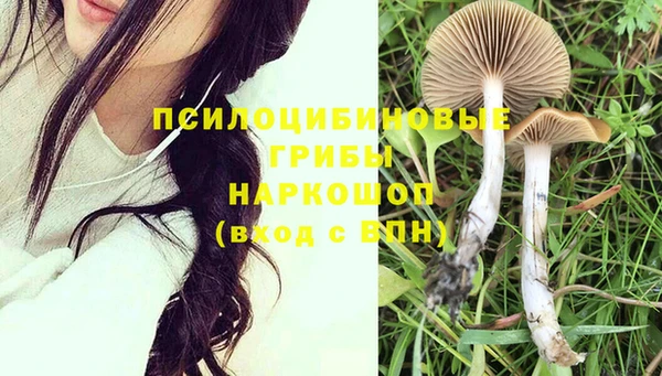 эйфоретик Медногорск