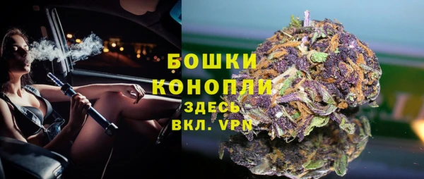 шишки Медвежьегорск