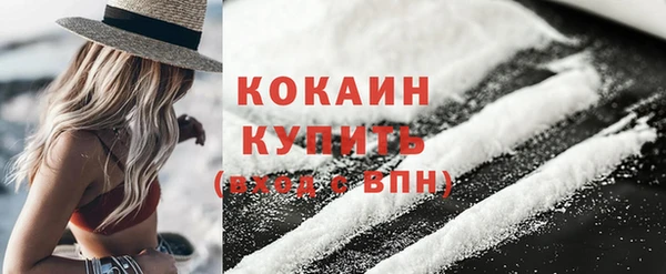 шишки Медвежьегорск