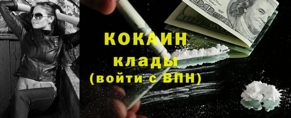 шишки Медвежьегорск