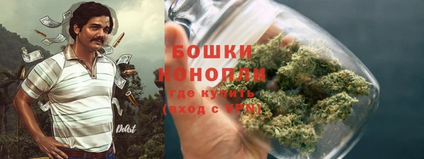 герыч Мегион