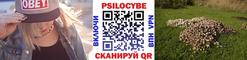 Купить закладки  Урус-Мартан  Псилоцибиновые грибы Psilocybe 